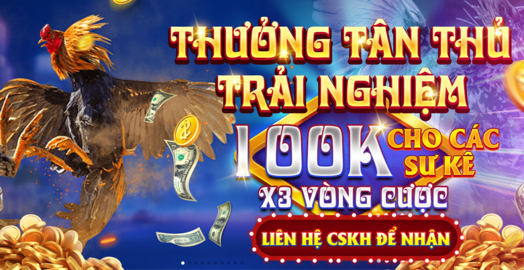 Tiền thưởng dành cho tân thủ - 100 ngàn đồng dành tặng những sư kê mới